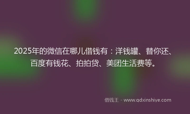 2025年的微信在哪儿借钱有：洋钱罐、替你还、百度有钱花、拍拍贷、美团生活费等。
