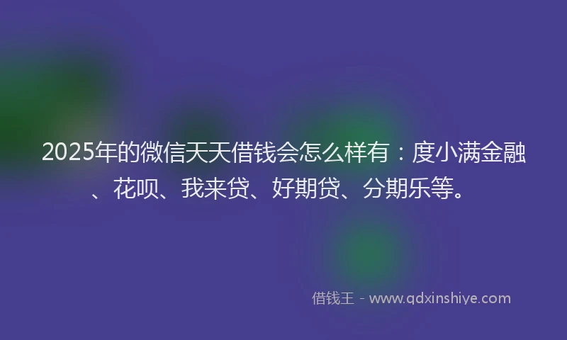 2025年的微信天天借钱会怎么样有：度小满金融、花呗、我来贷、好期贷、分期乐等。