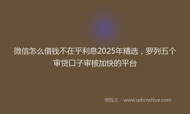 微信怎么借钱不在乎利息2025年精选，罗列五个审贷口子审核加快的平台