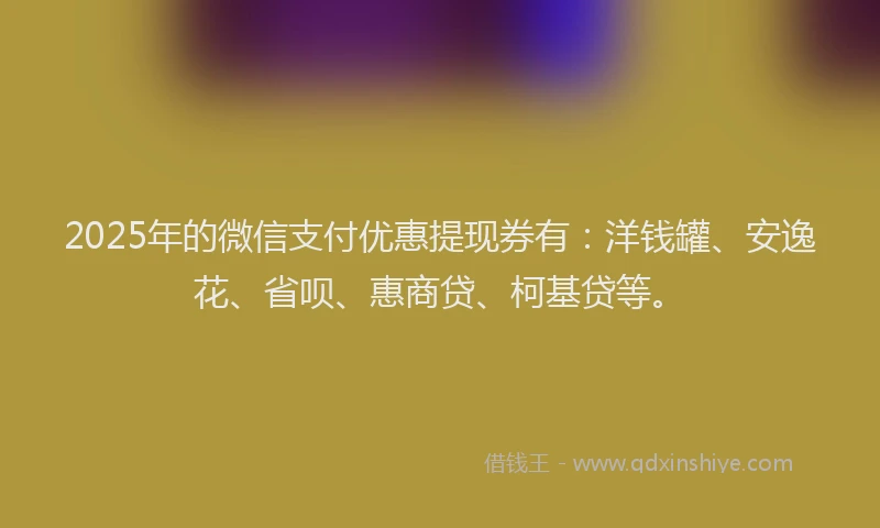 2025年的微信支付优惠提现券有：洋钱罐、安逸花、省呗、惠商贷、柯基贷等。