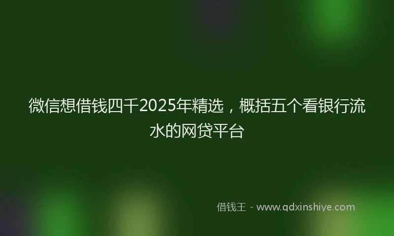 微信想借钱四千2025年精选，概括五个看银行流水的网贷平台