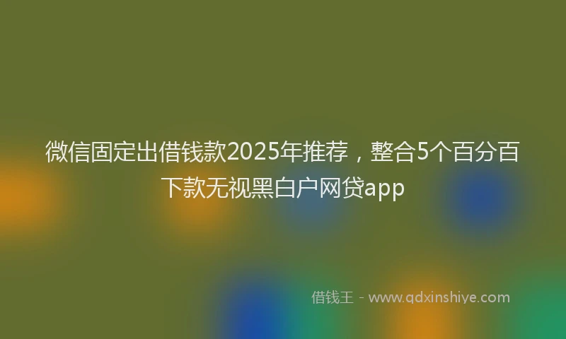 微信固定出借钱款2025年推荐，整合5个百分百下款无视黑白户网贷app