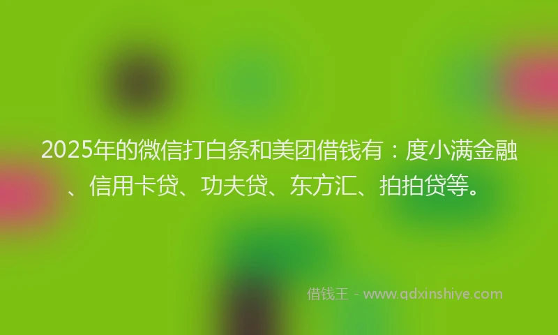2025年的微信打白条和美团借钱有：度小满金融、信用卡贷、功夫贷、东方汇、拍拍贷等。