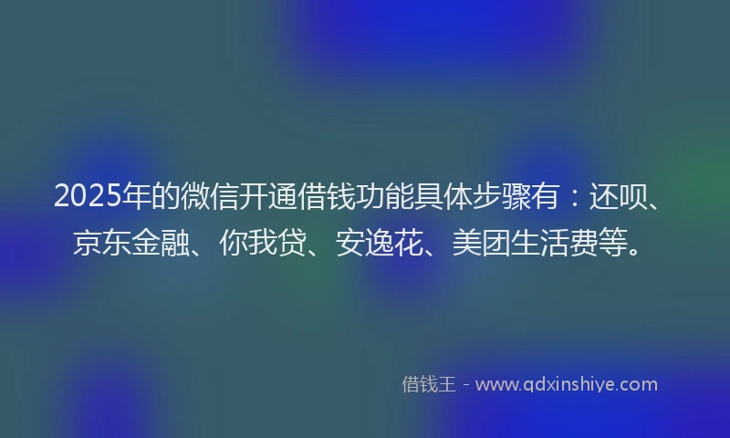 2025年的微信开通借钱功能具体步骤有：还呗、京东金融、你我贷、安逸花、美团生活费等。