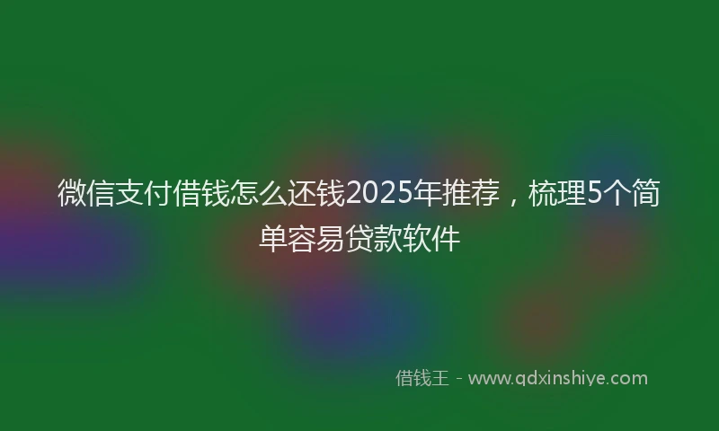 微信支付借钱怎么还钱2025年推荐，梳理5个简单容易贷款软件