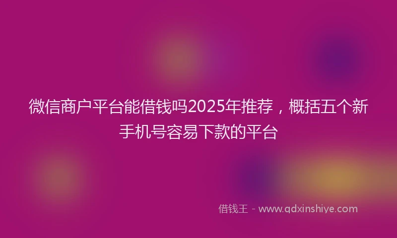 微信商户平台能借钱吗2025年推荐，概括五个新手机号容易下款的平台