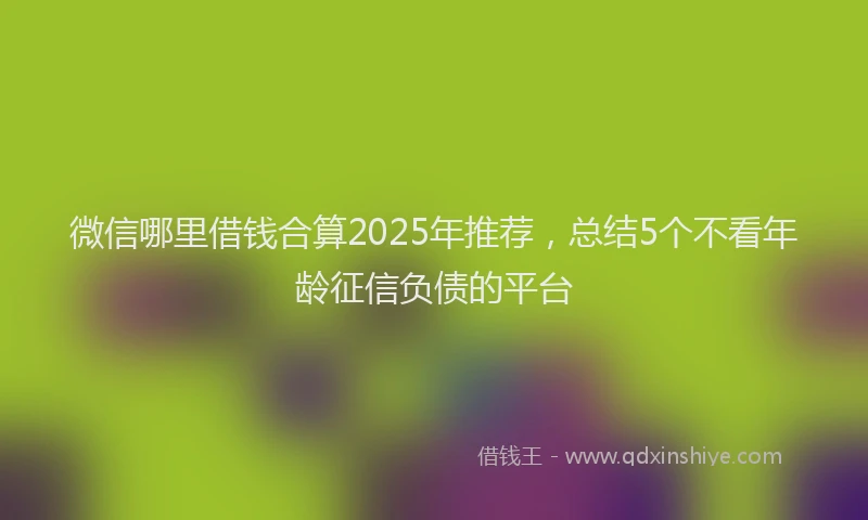 微信哪里借钱合算2025年推荐，总结5个不看年龄征信负债的平台