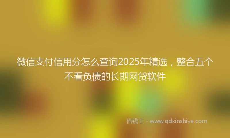微信支付信用分怎么查询2025年精选，整合五个不看负债的长期网贷软件
