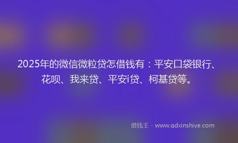 2025年的微信微粒贷怎借钱有：平安口袋银行、花呗、我来贷、平安i贷、柯基贷等。