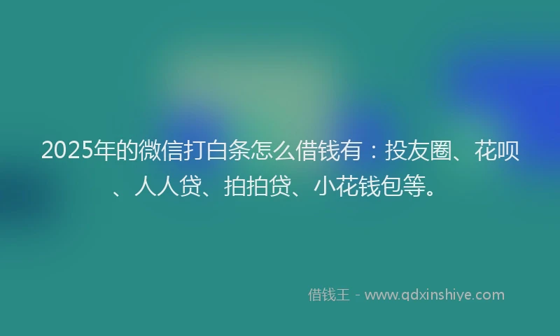 2025年的微信打白条怎么借钱有：投友圈、花呗、人人贷、拍拍贷、小花钱包等。
