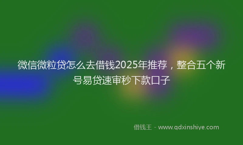 微信微粒贷怎么去借钱2025年推荐，整合五个新号易贷速审秒下款口子