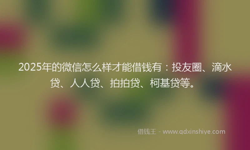 2025年的微信怎么样才能借钱有：投友圈、滴水贷、人人贷、拍拍贷、柯基贷等。