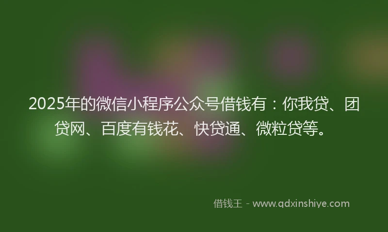 2025年的微信小程序公众号借钱有：你我贷、团贷网、百度有钱花、快贷通、微粒贷等。