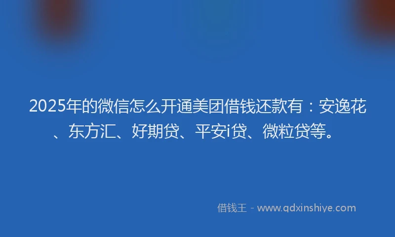 2025年的微信怎么开通美团借钱还款有：安逸花、东方汇、好期贷、平安i贷、微粒贷等。