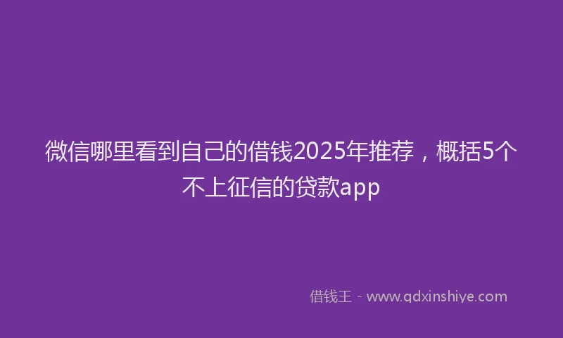 微信哪里看到自己的借钱2025年推荐，概括5个不上征信的贷款app