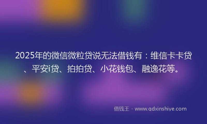 2025年的微信微粒贷说无法借钱有：维信卡卡贷、平安i贷、拍拍贷、小花钱包、融逸花等。
