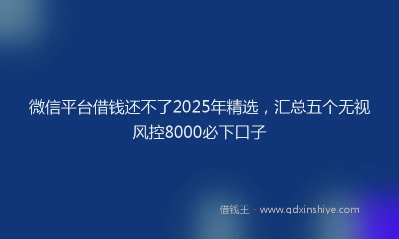 微信平台借钱还不了2025年精选，汇总五个无视风控8000必下口子