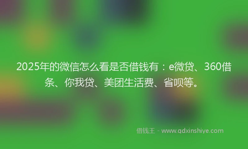 2025年的微信怎么看是否借钱有：e微贷、360借条、你我贷、美团生活费、省呗等。