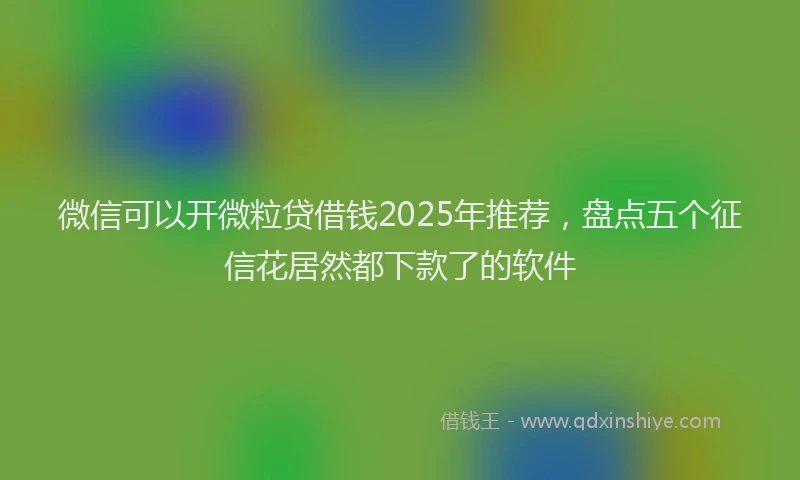 微信可以开微粒贷借钱2025年推荐，盘点五个征信花居然都下款了的软件
