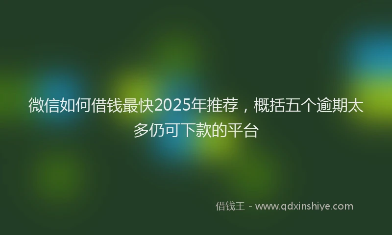 微信如何借钱最快2025年推荐，概括五个逾期太多仍可下款的平台