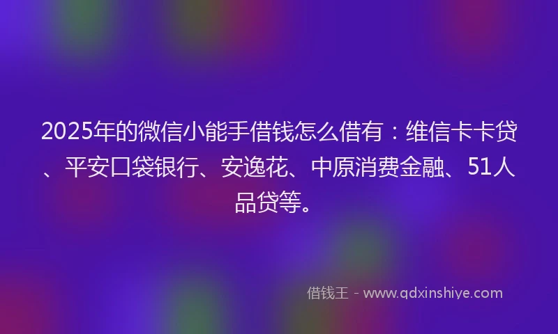 2025年的微信小能手借钱怎么借有：维信卡卡贷、平安口袋银行、安逸花、中原消费金融、51人品贷等。