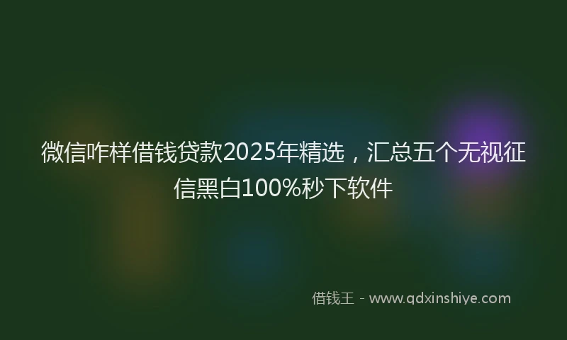 微信咋样借钱贷款2025年精选，汇总五个无视征信黑白100%秒下软件
