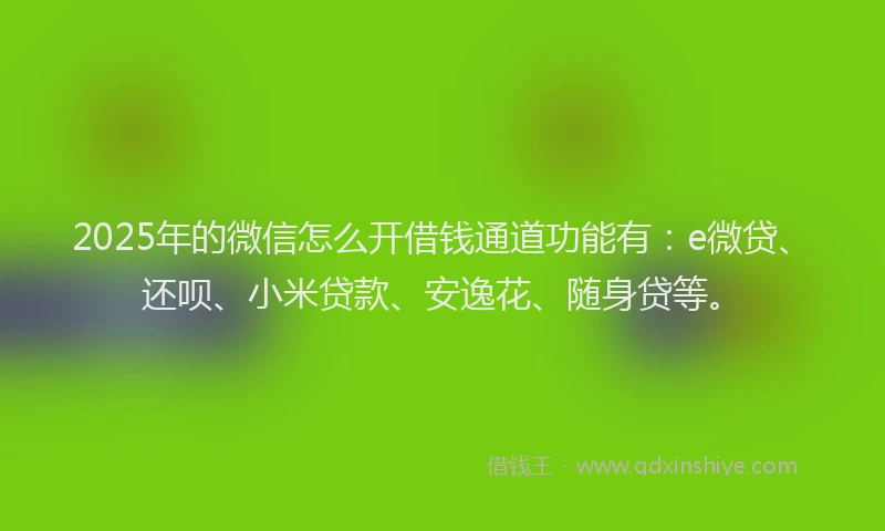 2025年的微信怎么开借钱通道功能有：e微贷、还呗、小米贷款、安逸花、随身贷等。