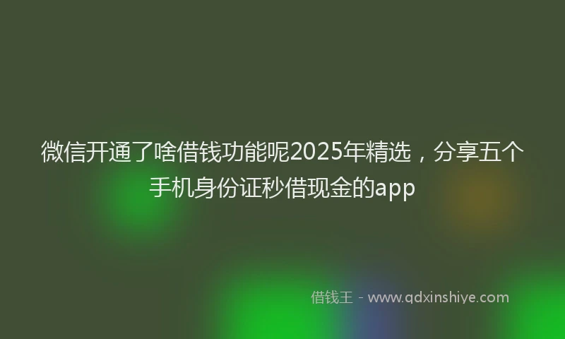微信开通了啥借钱功能呢2025年精选，分享五个手机身份证秒借现金的app