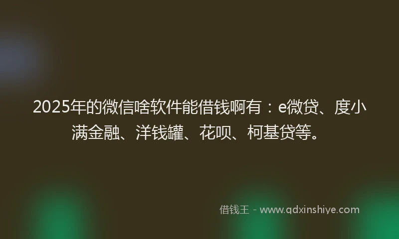 2025年的微信啥软件能借钱啊有：e微贷、度小满金融、洋钱罐、花呗、柯基贷等。