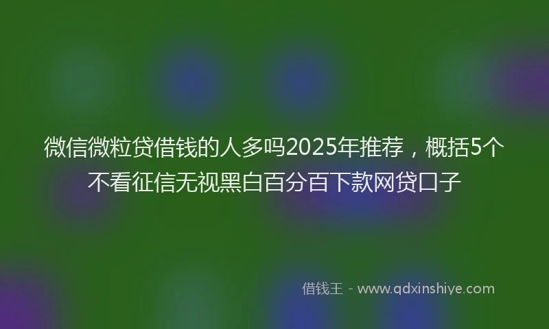 微信微粒贷借钱的人多吗2025年推荐，概括5个不看征信无视黑白百分百下款网贷口子