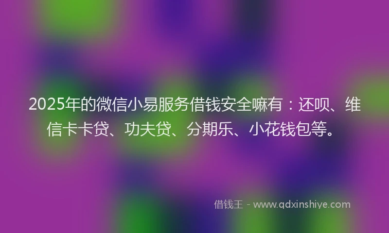 2025年的微信小易服务借钱安全嘛有：还呗、维信卡卡贷、功夫贷、分期乐、小花钱包等。