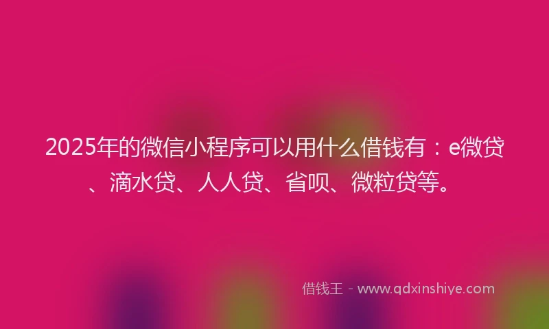 2025年的微信小程序可以用什么借钱有：e微贷、滴水贷、人人贷、省呗、微粒贷等。