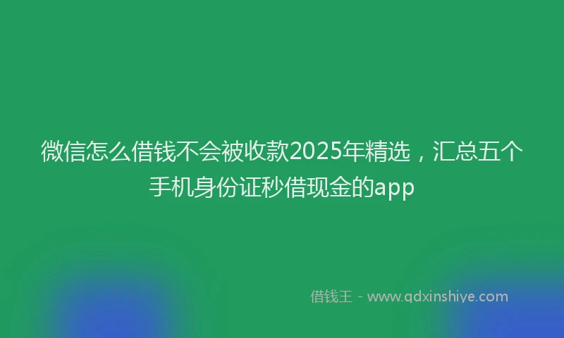 微信怎么借钱不会被收款2025年精选，汇总五个手机身份证秒借现金的app