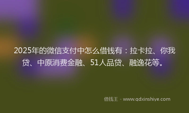 2025年的微信支付中怎么借钱有：拉卡拉、你我贷、中原消费金融、51人品贷、融逸花等。