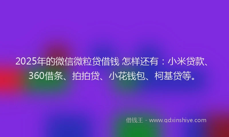 2025年的微信微粒贷借钱 怎样还有：小米贷款、360借条、拍拍贷、小花钱包、柯基贷等。