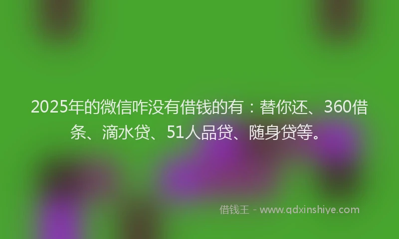 2025年的微信咋没有借钱的有：替你还、360借条、滴水贷、51人品贷、随身贷等。