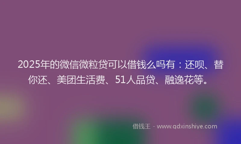 2025年的微信微粒贷可以借钱么吗有：还呗、替你还、美团生活费、51人品贷、融逸花等。