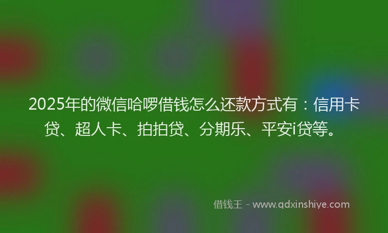 2025年的微信哈啰借钱怎么还款方式有：信用卡贷、超人卡、拍拍贷、分期乐、平安i贷等。