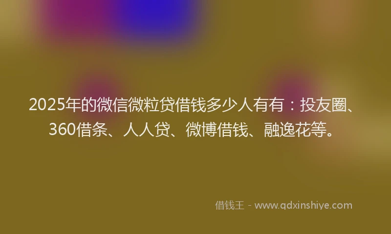 2025年的微信微粒贷借钱多少人有有：投友圈、360借条、人人贷、微博借钱、融逸花等。