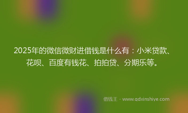 2025年的微信微财进借钱是什么有：小米贷款、花呗、百度有钱花、拍拍贷、分期乐等。