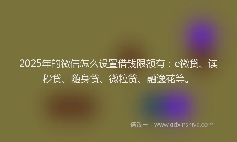 2025年的微信怎么设置借钱限额有：e微贷、读秒贷、随身贷、微粒贷、融逸花等。