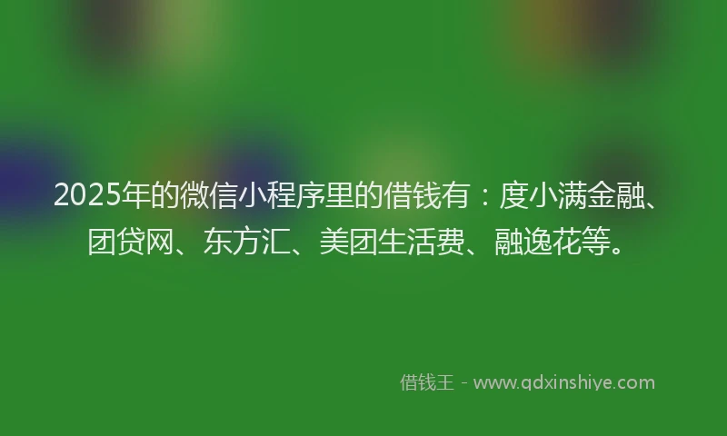 2025年的微信小程序里的借钱有：度小满金融、团贷网、东方汇、美团生活费、融逸花等。