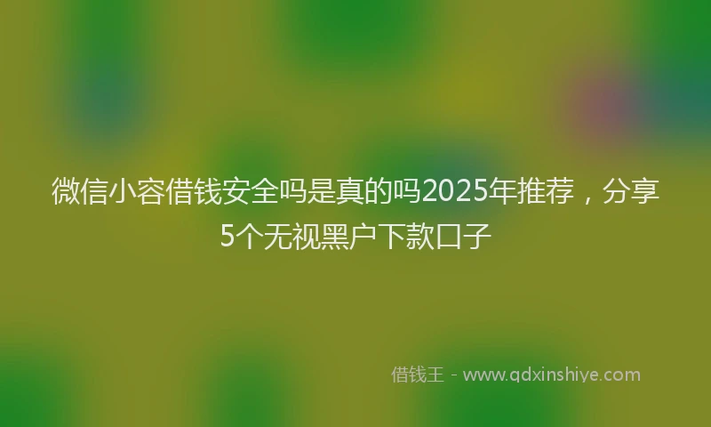 微信小容借钱安全吗是真的吗2025年推荐，分享5个无视黑户下款口子