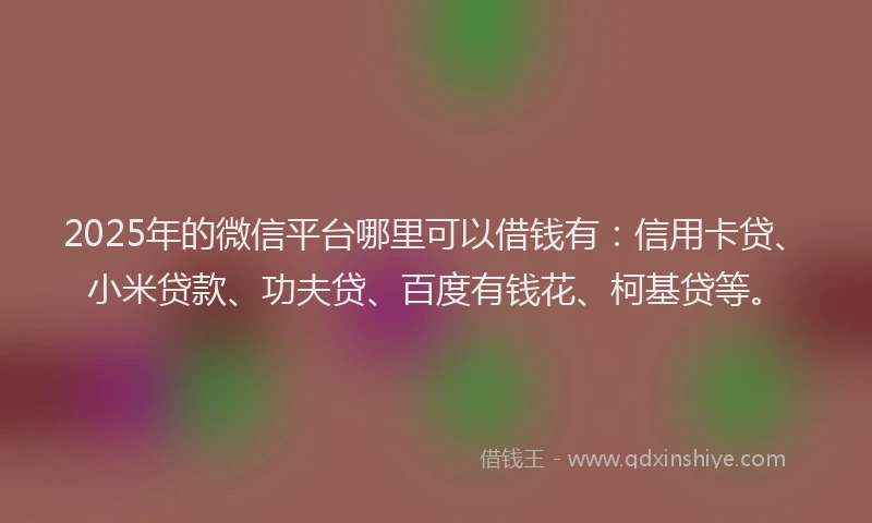 2025年的微信平台哪里可以借钱有：信用卡贷、小米贷款、功夫贷、百度有钱花、柯基贷等。