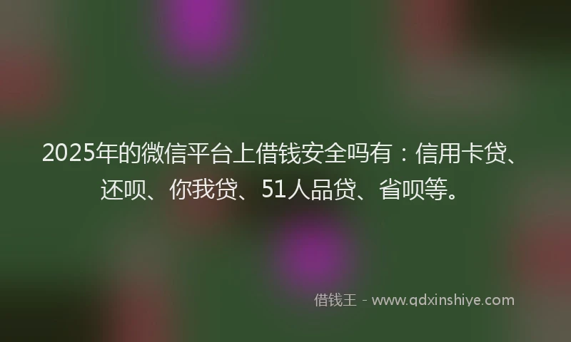 2025年的微信平台上借钱安全吗有：信用卡贷、还呗、你我贷、51人品贷、省呗等。