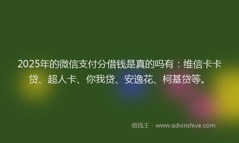 2025年的微信支付分借钱是真的吗有：维信卡卡贷、超人卡、你我贷、安逸花、柯基贷等。