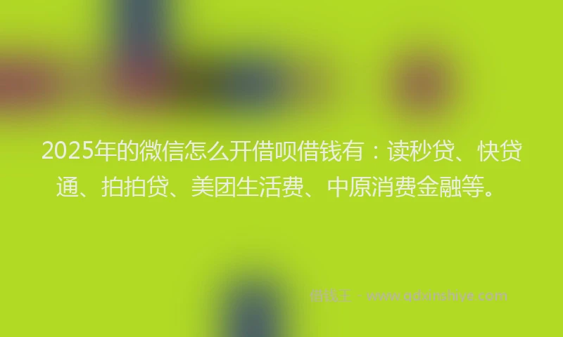 2025年的微信怎么开借呗借钱有：读秒贷、快贷通、拍拍贷、美团生活费、中原消费金融等。