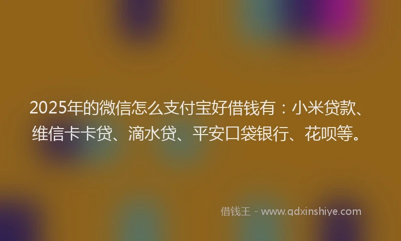 2025年的微信怎么支付宝好借钱有：小米贷款、维信卡卡贷、滴水贷、平安口袋银行、花呗等。
