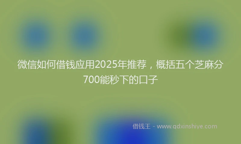 微信如何借钱应用2025年推荐，概括五个芝麻分700能秒下的口子