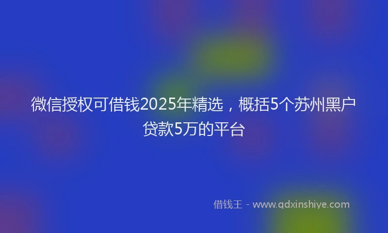 微信授权可借钱2025年精选，概括5个苏州黑户贷款5万的平台